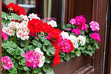 《绝地潜兵2》宣布60天更新计划已进入收尾阶段 同步推出新补丁